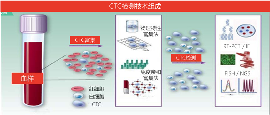 CTC檢查是什麽檢查-癌查查ctc檢查機構|循環腫瘤細胞醫院-CTDNA檢測公司